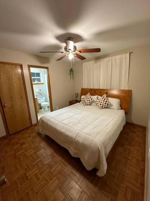 Mcallen 4Br With Pool, Shopping & More المظهر الخارجي الصورة