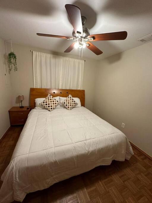 Mcallen 4Br With Pool, Shopping & More المظهر الخارجي الصورة