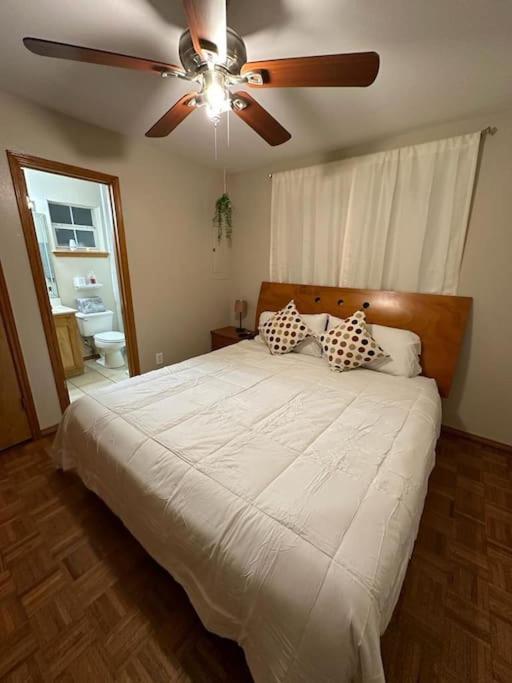 Mcallen 4Br With Pool, Shopping & More المظهر الخارجي الصورة